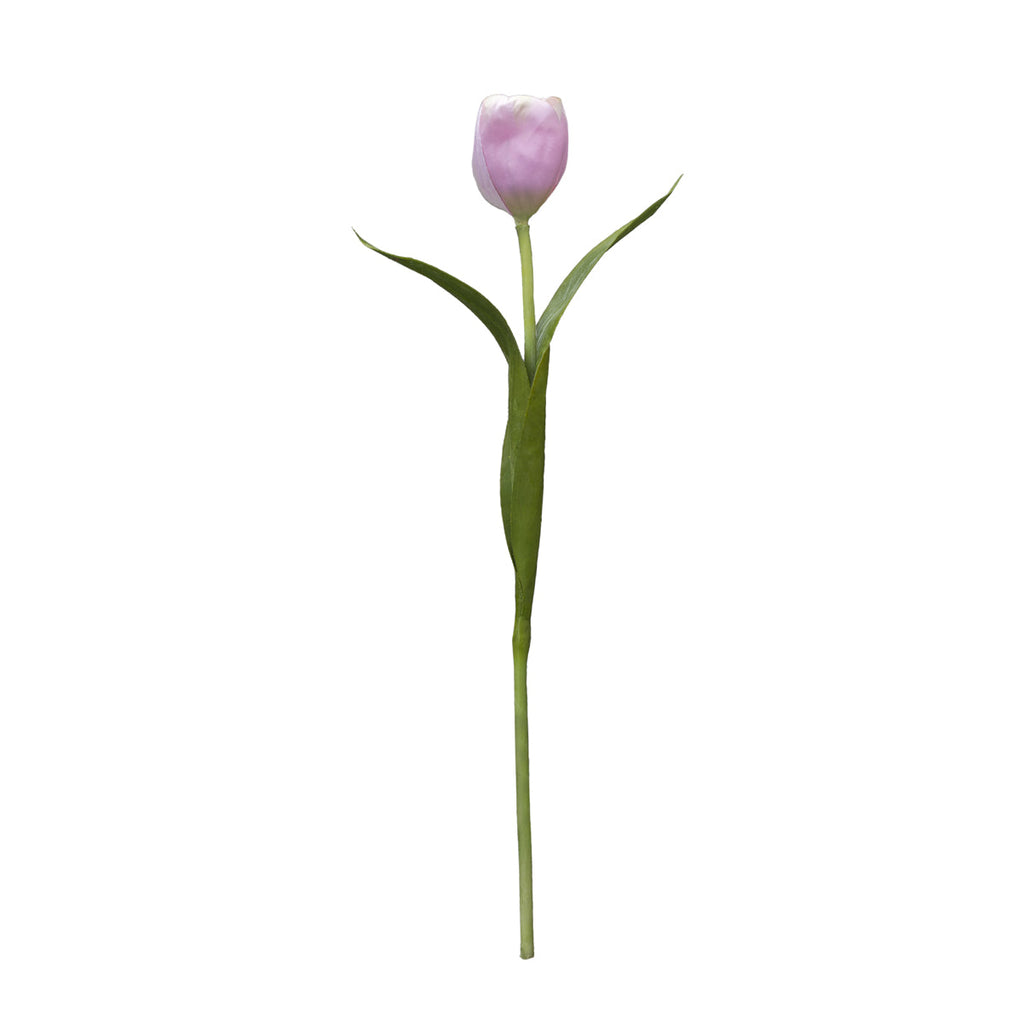 Emilia Tulip Stem