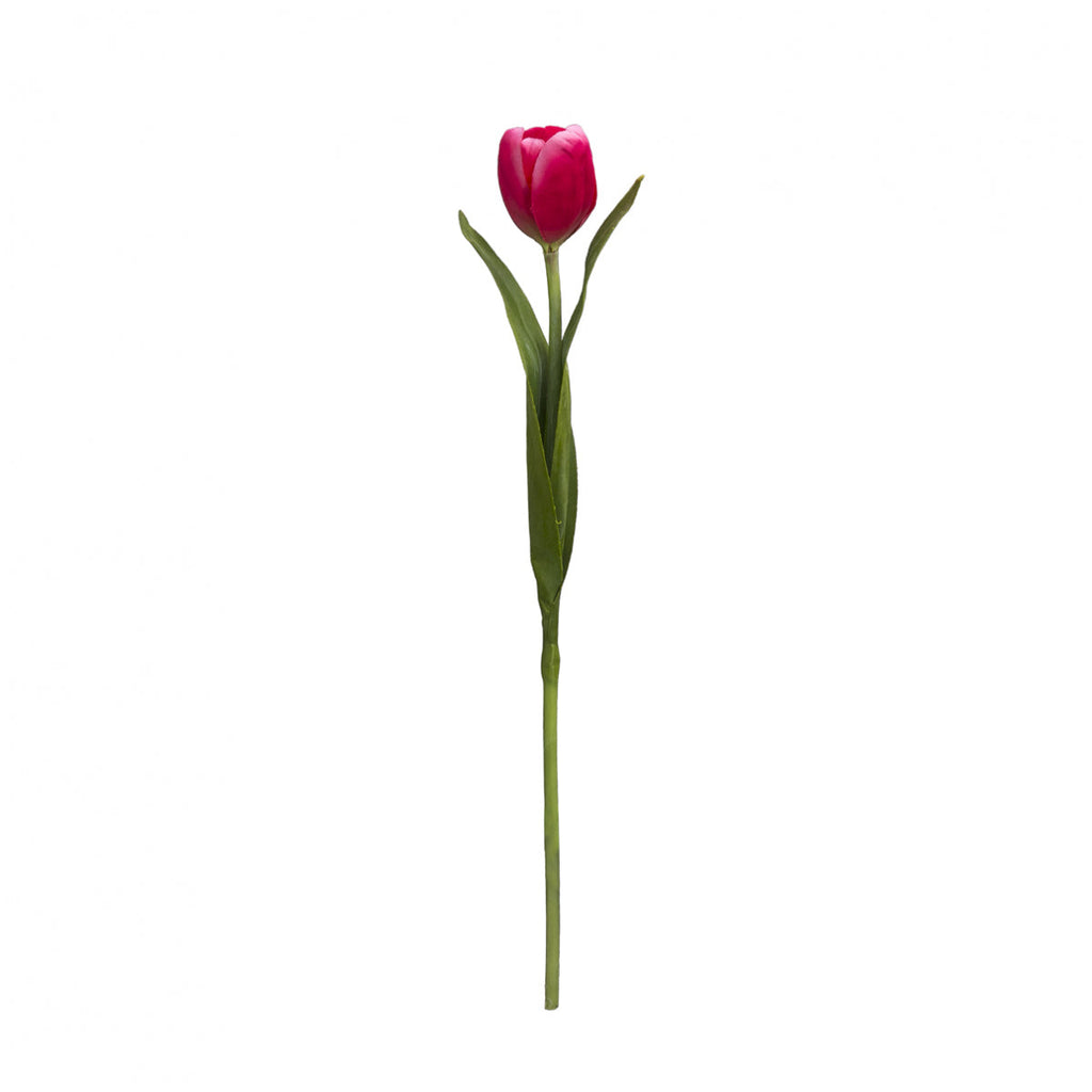 Emilia Tulip Stem