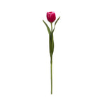 Emilia Tulip Stem