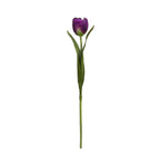 Emilia Tulip Stem