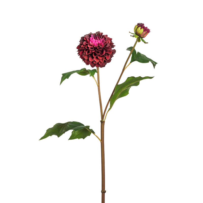 Dahlia Candice Stem