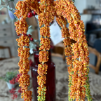 Drooping Amaranth Foliage