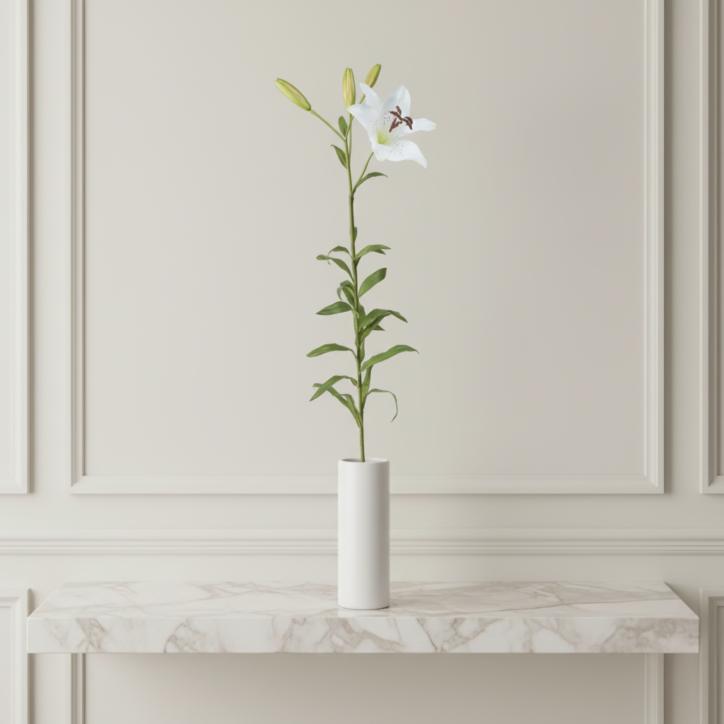 Lily Rubrum Elsa stem