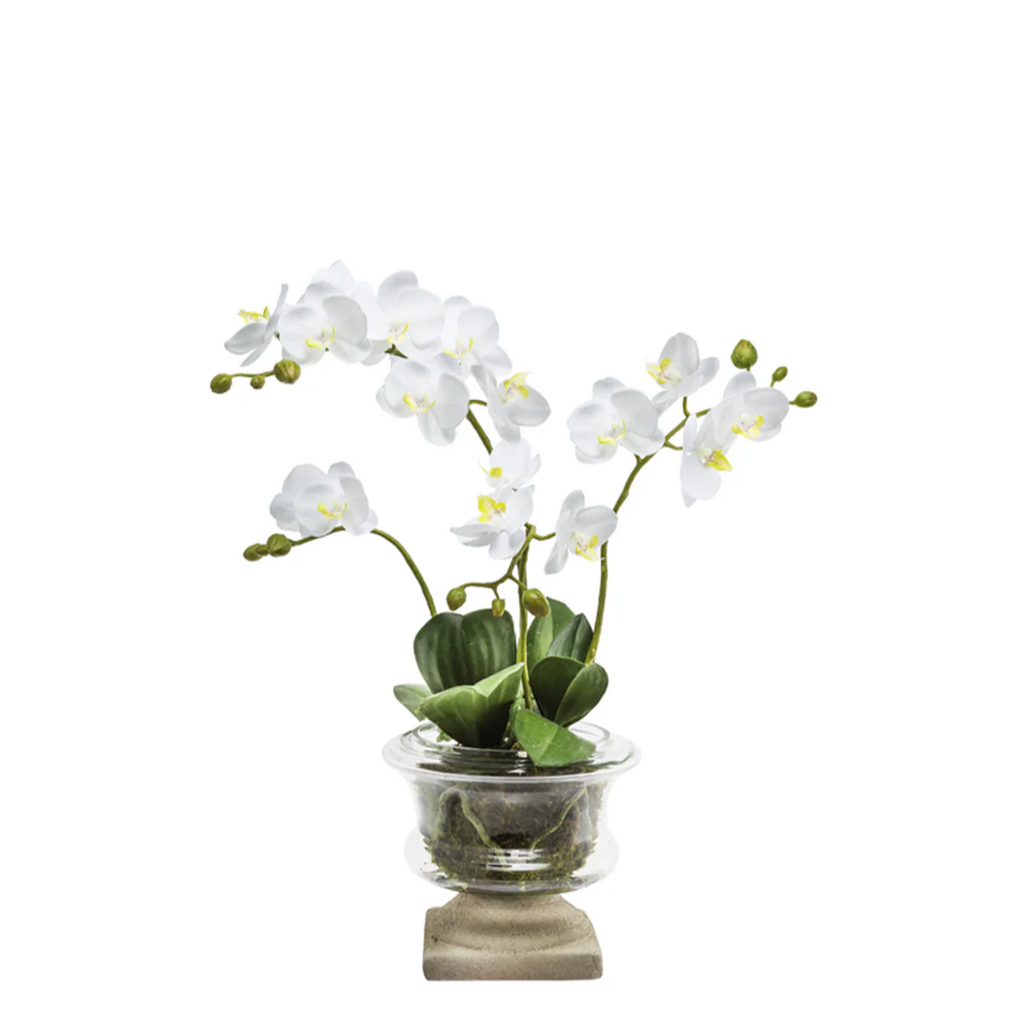 Small Artificial Orchid Arrangement