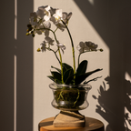 Small Artificial Orchid Arrangement