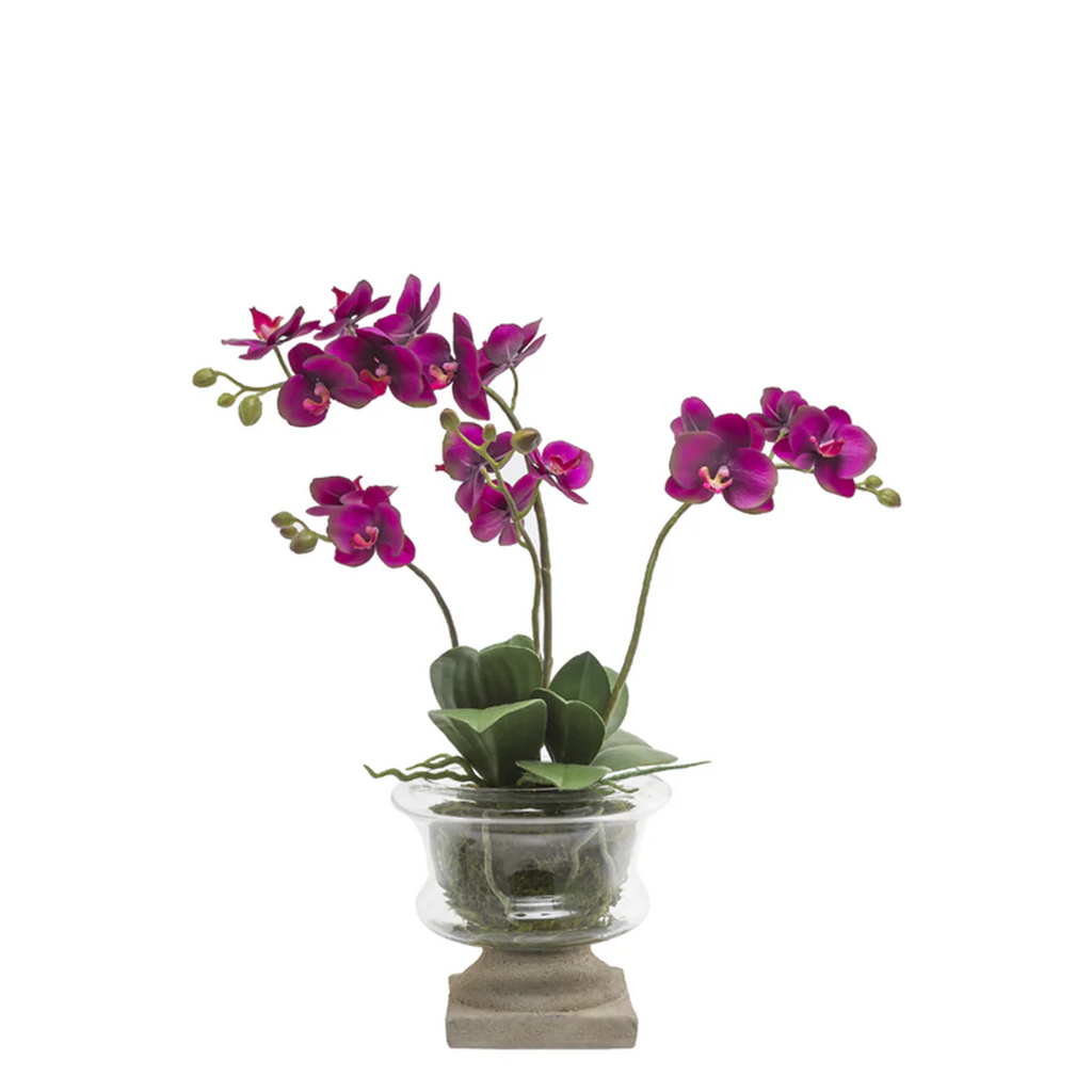 Small Artificial Orchid Arrangement