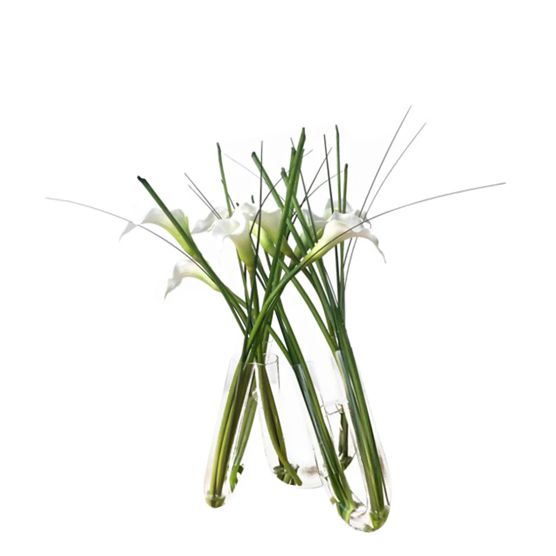 Arum Composition in Water Illusion