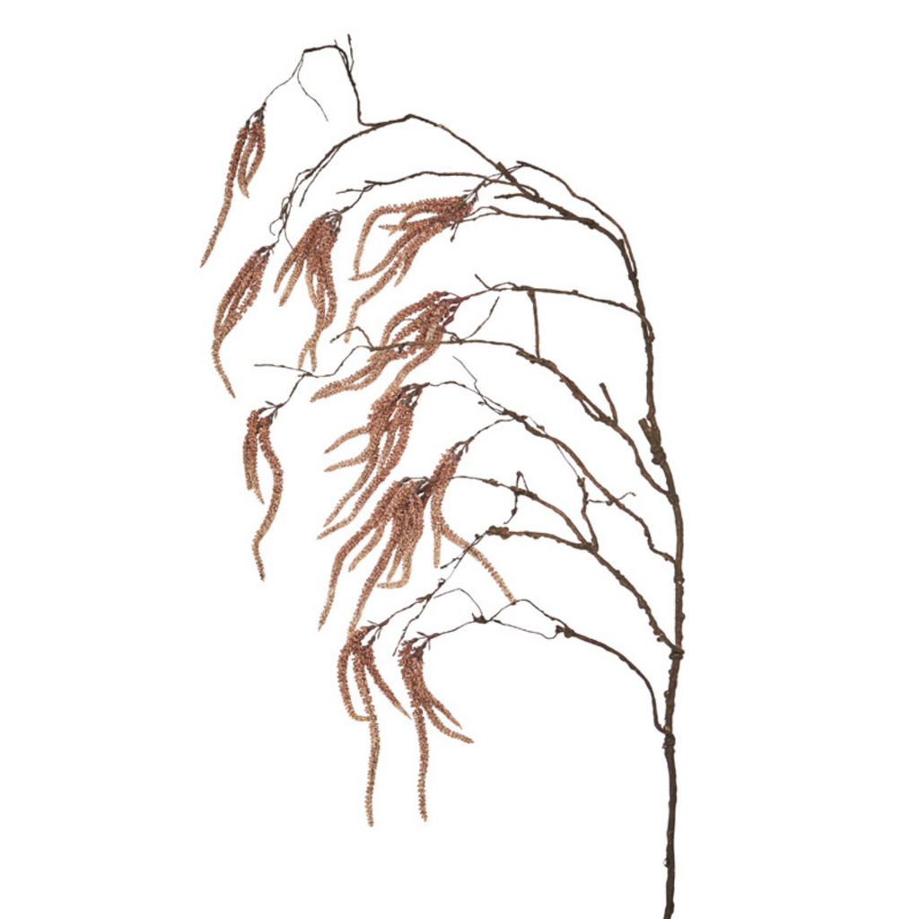 Drooping Amaranthus Foliage