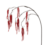 Drooping Amaranth Foliage