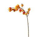 Rosehip branch