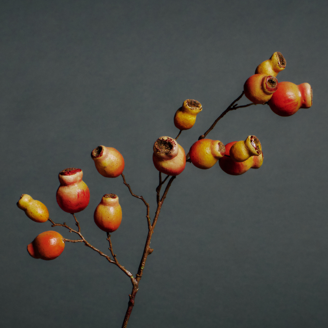 Rosehip branch