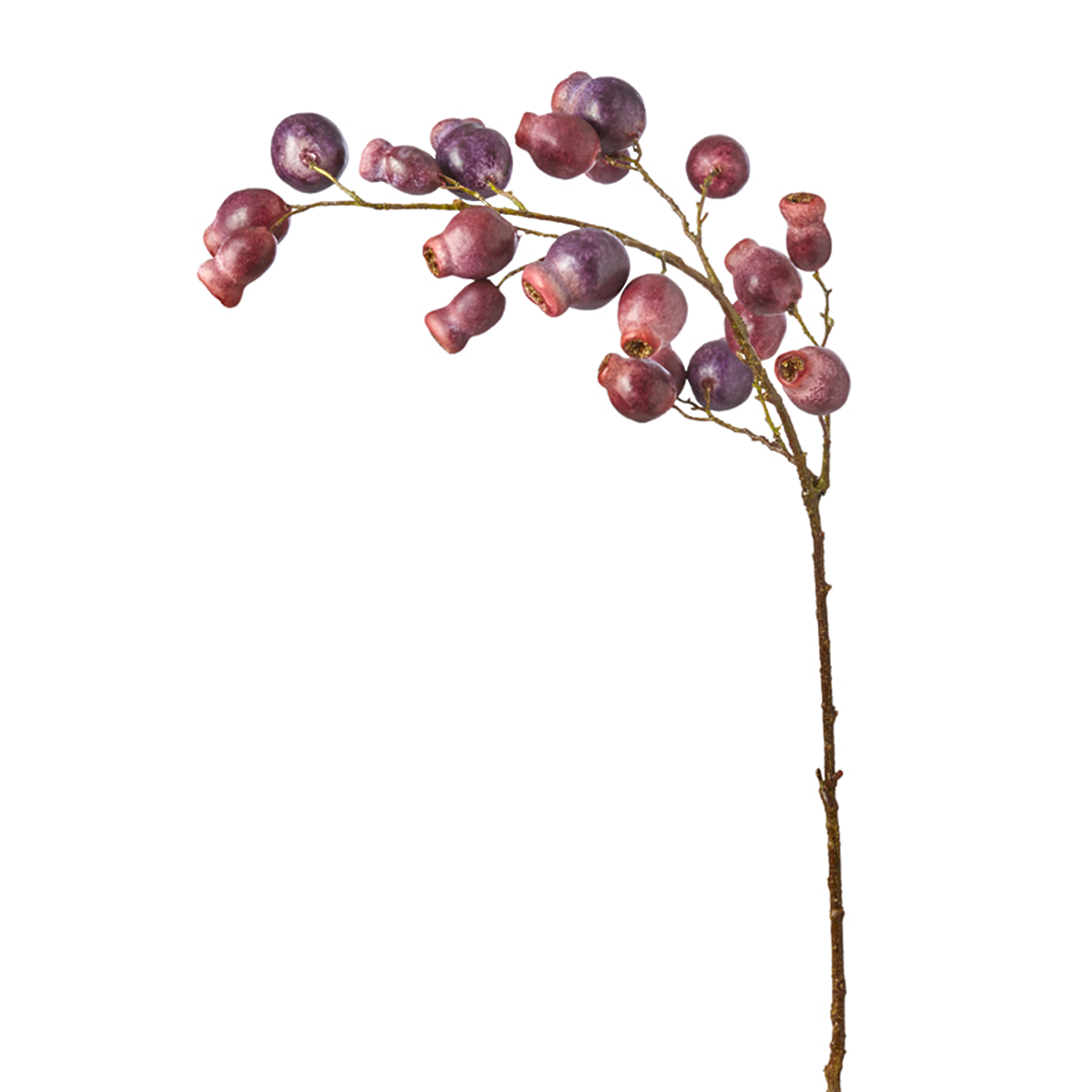 Rosehip branch