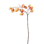 Rosehip branch