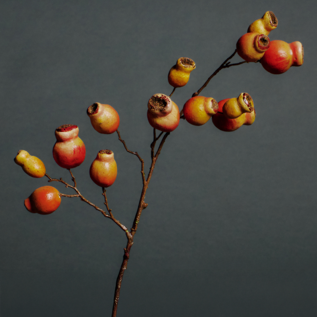 Rosehip branch