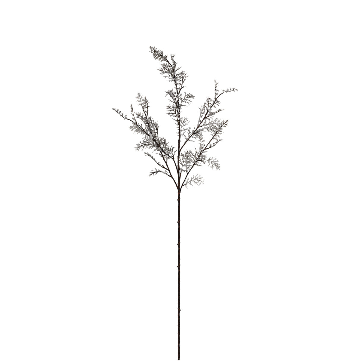 Snowy Christmas Branch