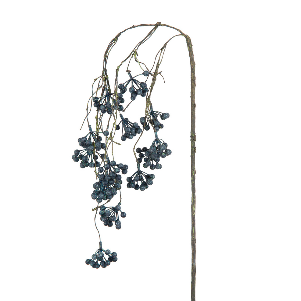 Branch of Drooping Berries
