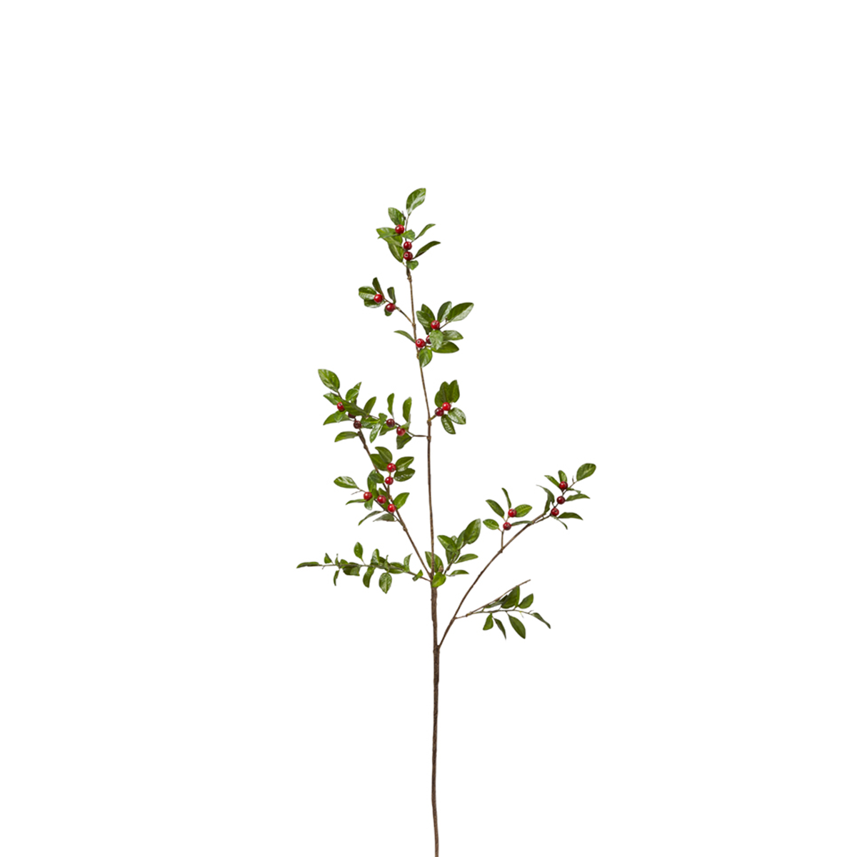 Berry Branch with Leaves