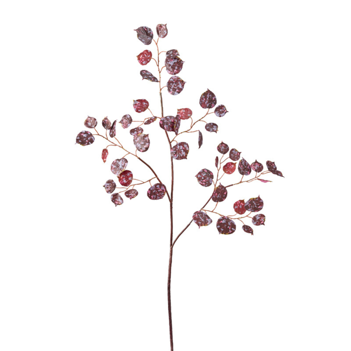 Large Format Frosted Foliage