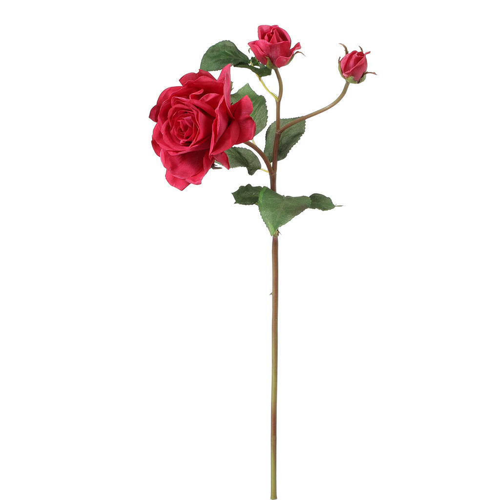 Rose stem with bud