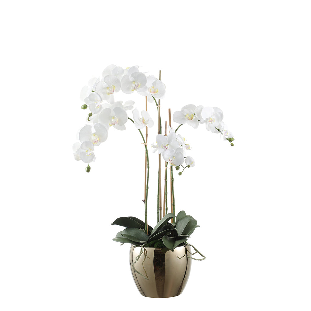 Large Artificial Orchid Arrangement with Gold Vase
