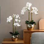 Large Artificial Orchid Arrangement with Gold Vase
