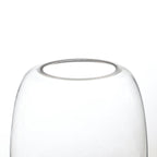 Transparent Bulb Vase
