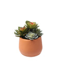Artificial Succulent in a Pot