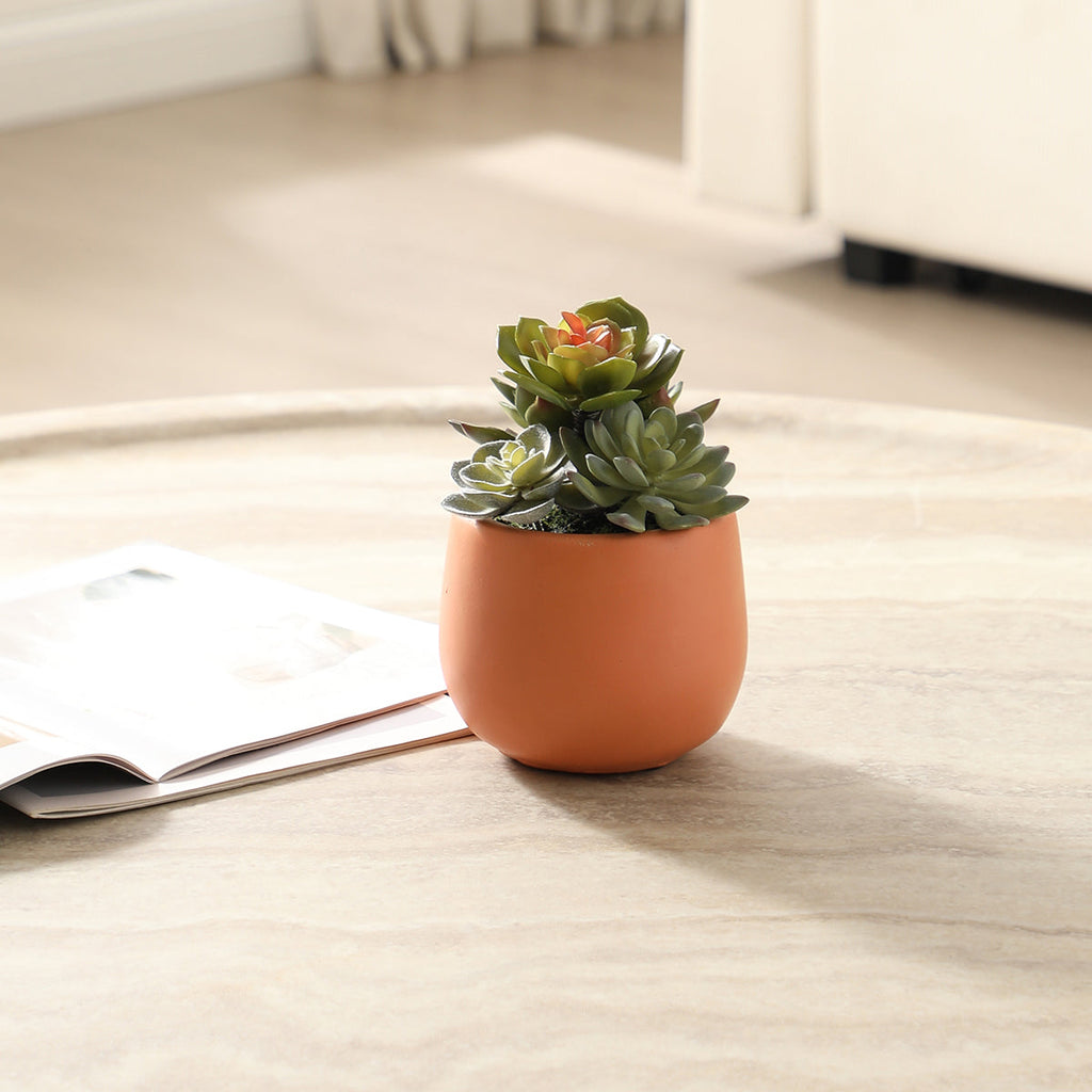Artificial Succulent in a Pot