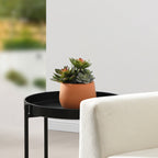 Artificial Succulent in a Pot