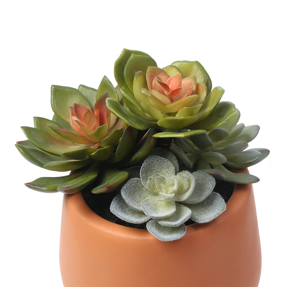 Artificial Succulent in a Pot
