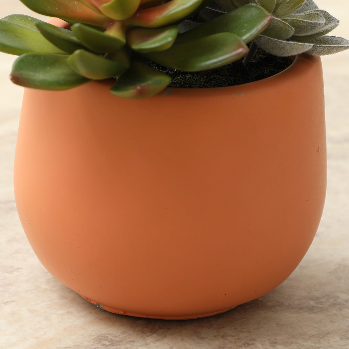 Artificial Succulent in a Pot