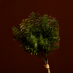 Small Pine Bouquet