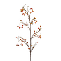 Rosehip branch
