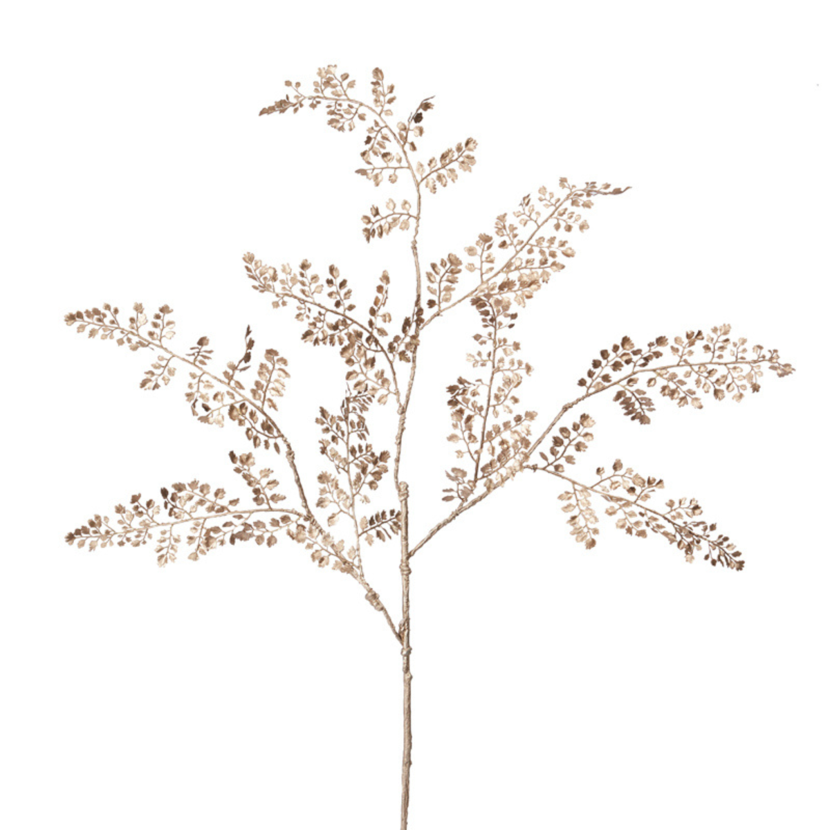 Metallic Fern Foliage