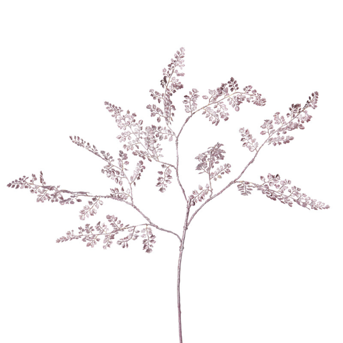 Metallic Fern Foliage