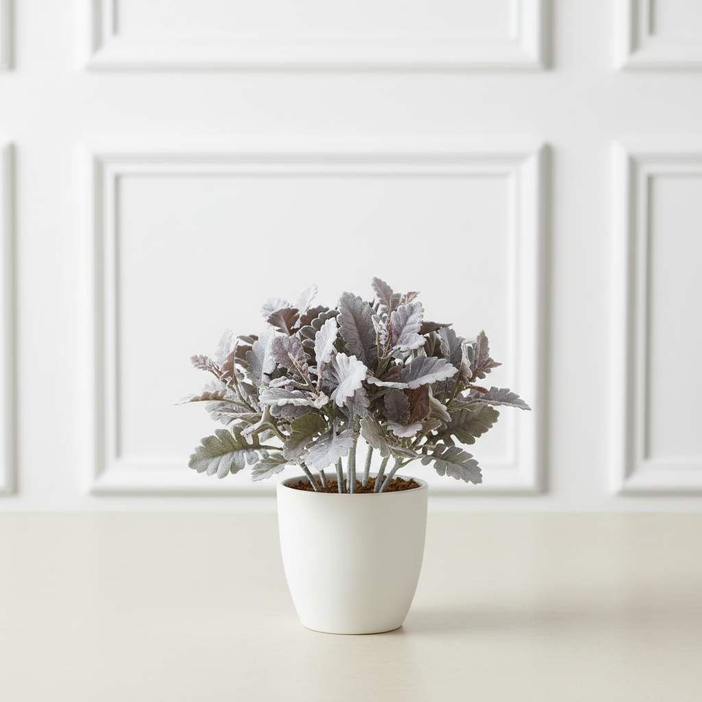 Dusty Miller Foliage