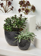 Baltazar Plant Pots