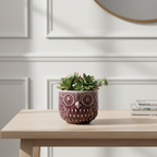 Owly Plant Pot