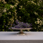 Wonder Medium Decorative Tray