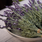 Wonder Medium Decorative Tray