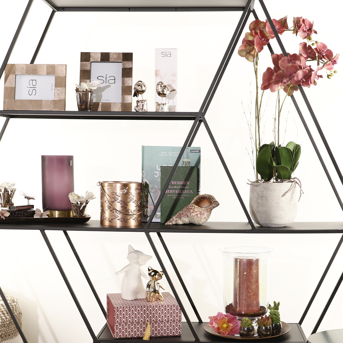 Musky Lantern Small Size