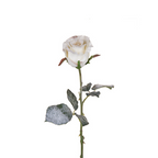 Snowy Christmas Rose Stem