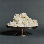 Snowy Christmas Rose Stem