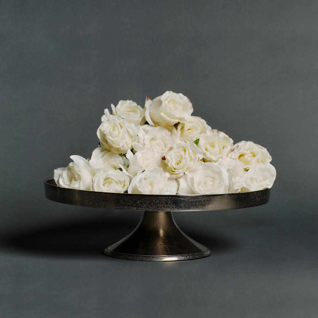 Snowy Christmas Rose Stem