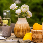 Nora buttercup stem open