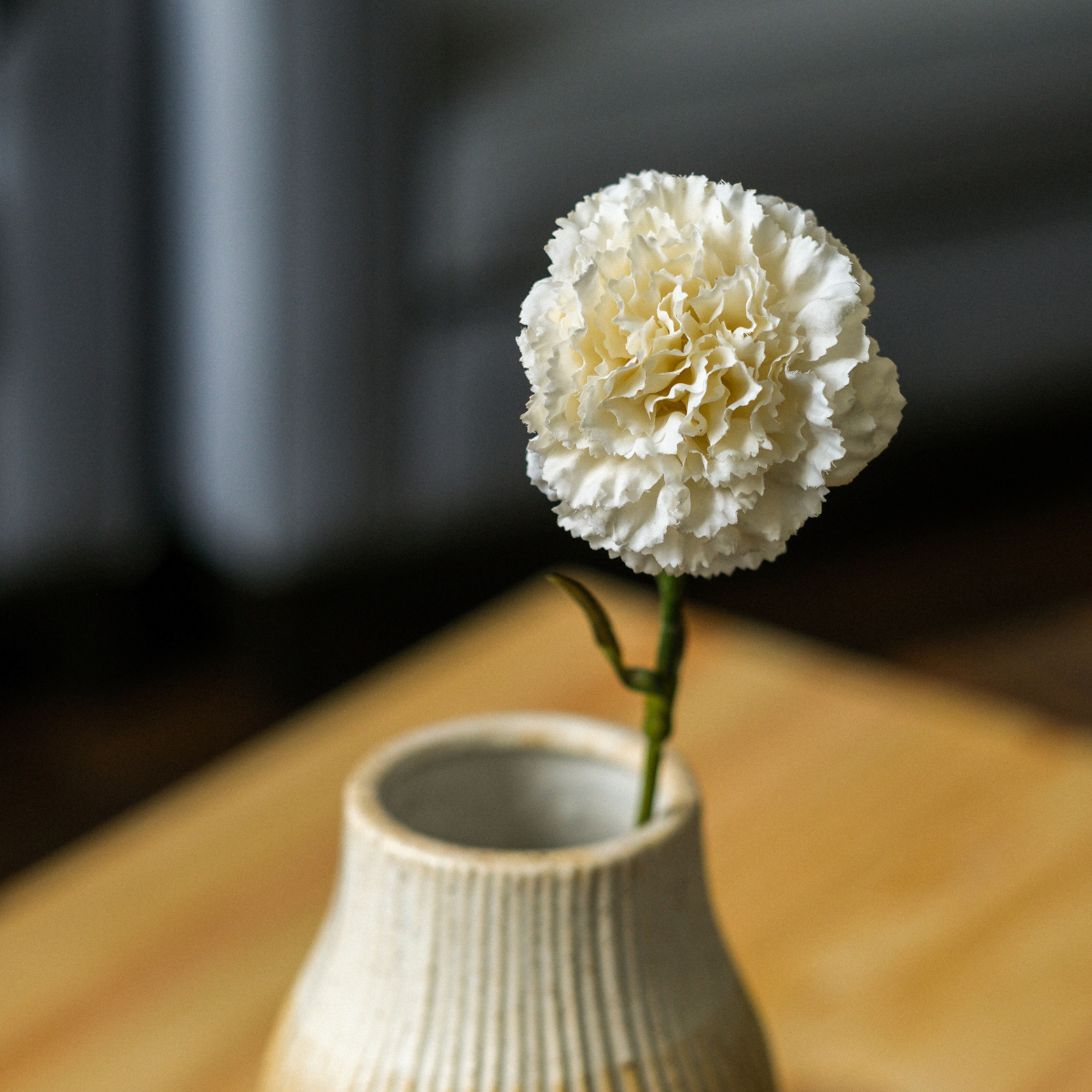 Carnation Stem
