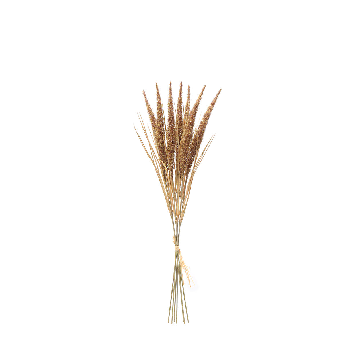 Bouquet of Pampas 7 stems 50 cm