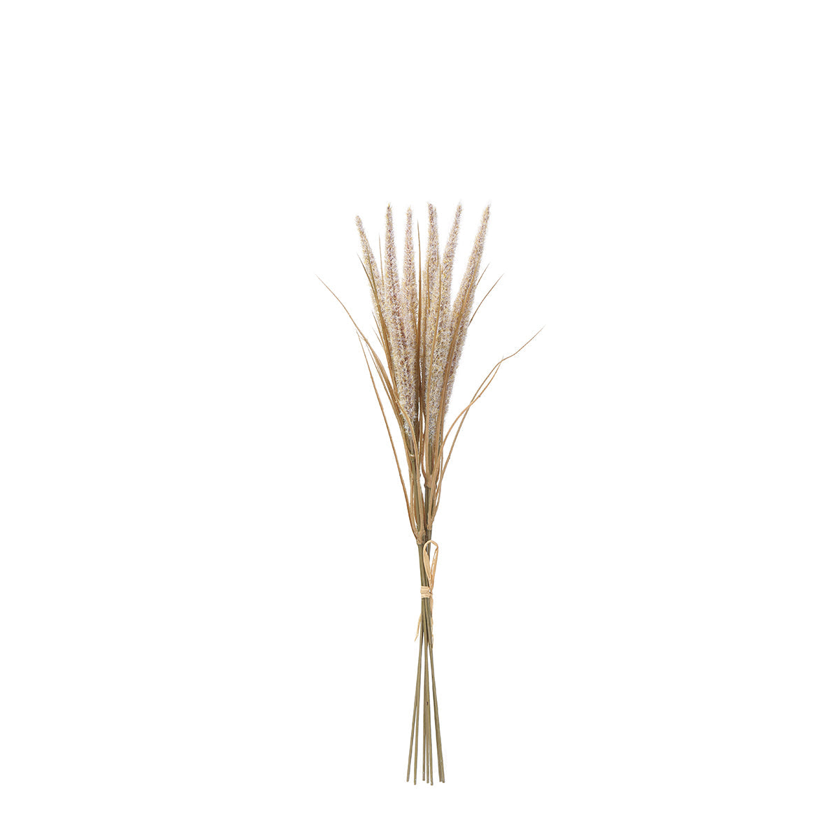 Bouquet of Pampas 7 stems 50 cm