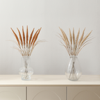 Bouquet of Pampas 7 stems 50 cm