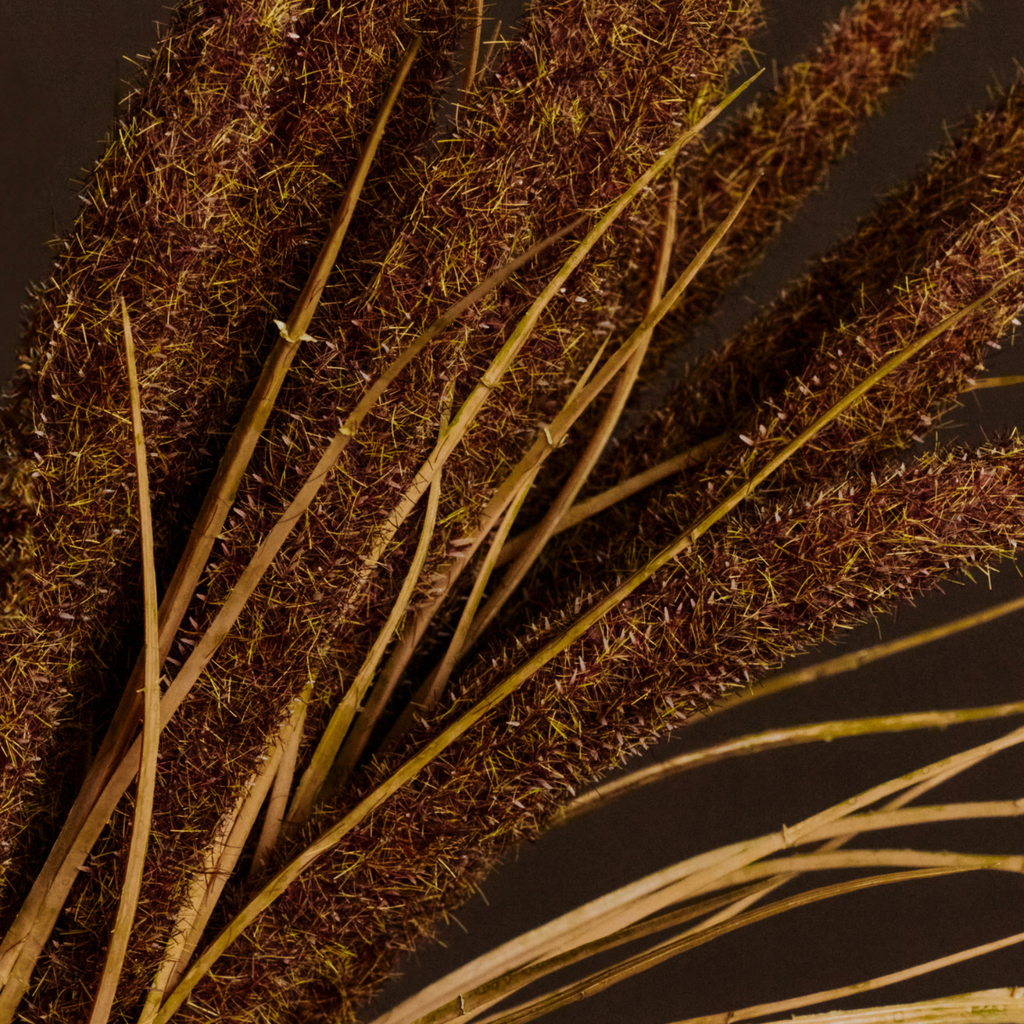 Bouquet of Pampas 7 stems 80 cm